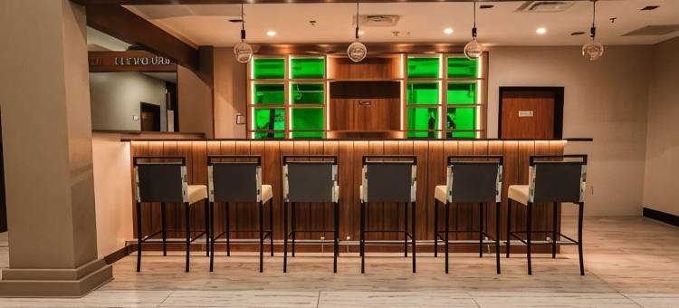 威廉斯堡布希花园区温德姆花园酒店(Wyndham Garden Williamsburg Busch Gardens Area)图片