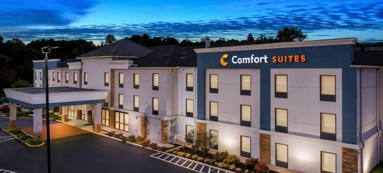 诺克斯维尔西 - 法拉格特舒适套房酒店(Comfort Suites Knoxville West - Farragut)图片