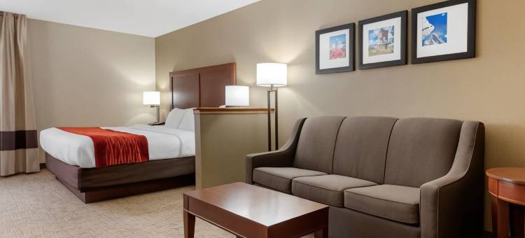 辛辛那提东门舒适套房酒店(Comfort Inn & Suites Cincinnati Eastgate)图片
