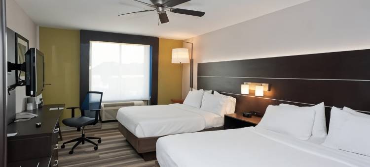 洲际酒店集团智选假日酒店及套房斯科特 - 拉斐特西(Holiday Inn Express & Suites Scott-Lafayette West)图片