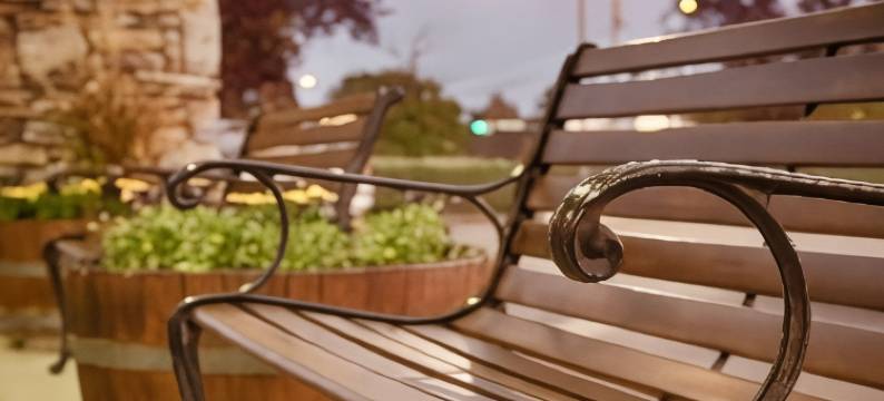 大学贝斯特韦斯特套房酒店(Best Western University Inn  Suites)图片