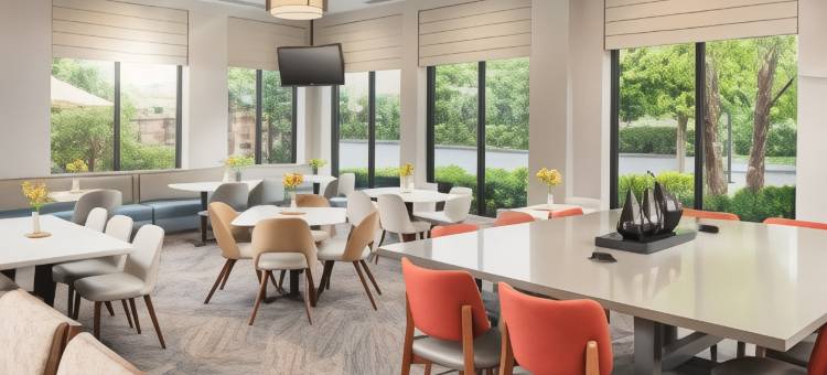 富兰克林纳什维尔酷斯普林斯希尔顿花园酒店(Hilton Garden Inn Nashville/Franklin Cool Springs)图片