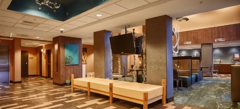 湖郡贝斯特韦斯特优质套房酒店(Best Western Plus Chain of Lakes Inn  Suites)图片