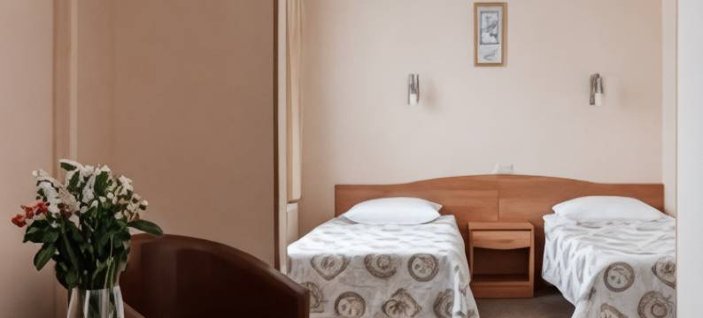 千里马斯拉维亚酒店(Maxima Slavia Hotel)图片