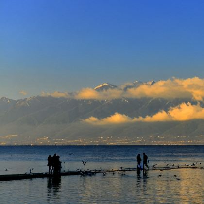 昆明+大理市+丽江+香格里拉+西双版纳12日11晚跟团游