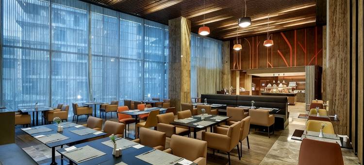 伊斯坦布尔阿塔图尔克机场希尔顿花园酒店(Hilton Garden Inn Istanbul Atatürk Airport)图片
