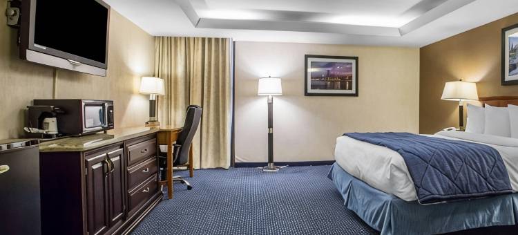芝加哥绍姆堡品质酒店-靠近购物中心(Quality Inn Schaumburg - Chicago Near the Mall)图片