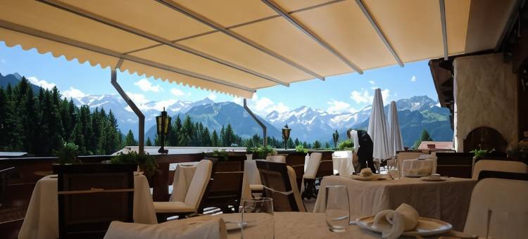 高山玫瑰精品酒店(Hotel Alpenrose Mit Gourmet-Restaurant Azalée)图片