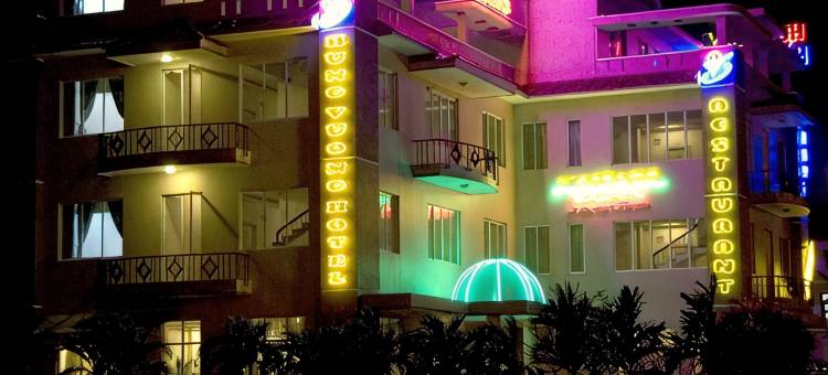 雄王大酒店(Hung Vuong Hotel)图片