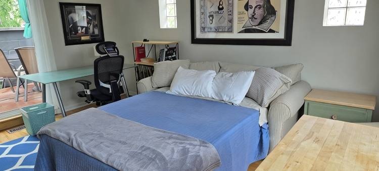 Chicago West Town Row House图片