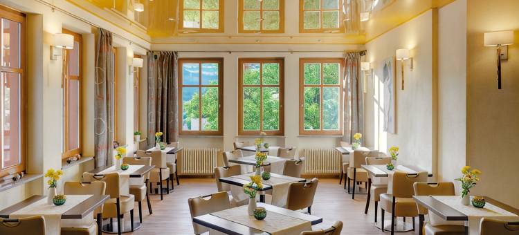 阿塞汉姆普法索酒店(Pfalzhotel Asselheim)图片
