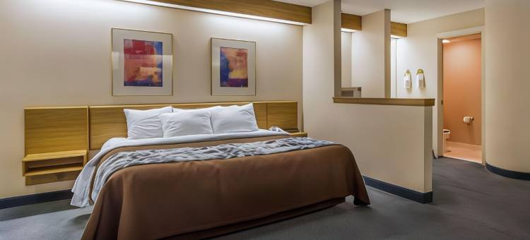 罗德威酒店(Rodeway Inn)图片