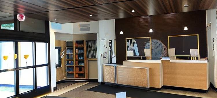 弗莱彻阿什维尔机场万豪万枫套房酒店(Fairfield Inn & Suites Asheville Airport/Fletcher)图片