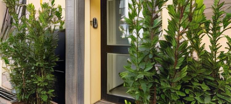 Numa 罗马 Tullo(Numa Rome Tullo)图片