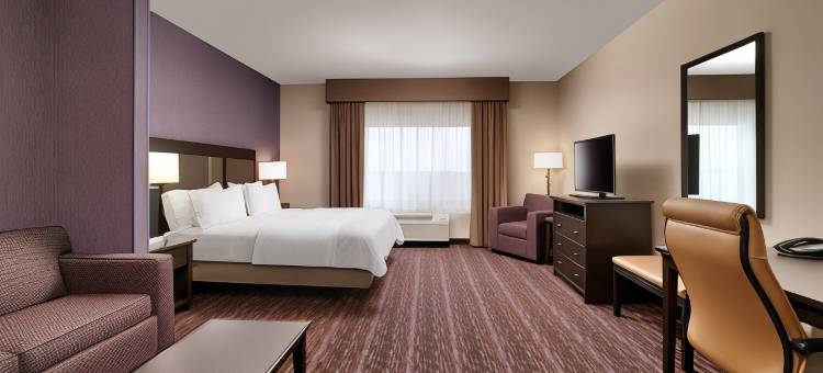 智选假日套房酒店比灵斯(Holiday Inn Express & Suites Billings West)图片