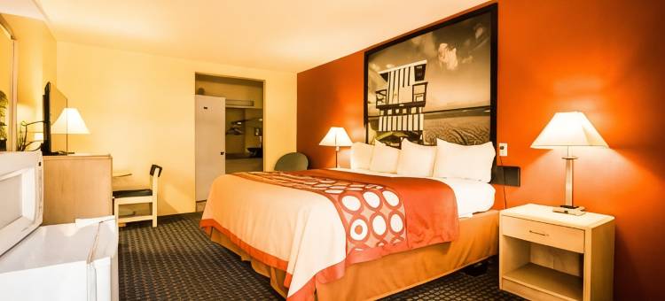 奇普利温德姆速8酒店(Super 8 by Wyndham Chipley)图片