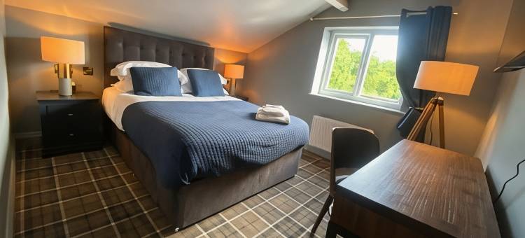 常春藤树(The Ivy Tree)图片