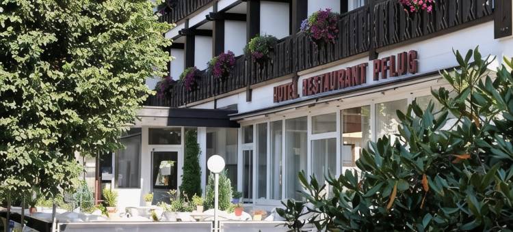 北斗星酒店(Hotel Pflug)图片