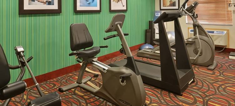 洛诺克I-40智选假日套房酒店(Holiday Inn Express & Suites Lonoke I-40 (Exit 175))图片