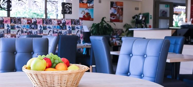 波尔多西部梅里尼亚克机场基里亚德酒店(Kyriad Bordeaux - MÉRIGNAC AÉROPORT)图片