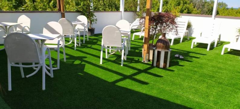 克里斯塔列斯宠物家庭酒店(Kristalex Pet Family Hotel)图片