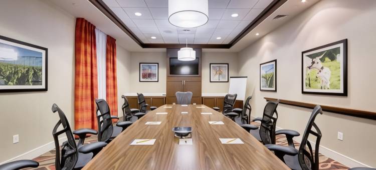 北休斯敦斯普林希尔顿花园酒店(Hilton Garden Inn North Houston/Spring)图片