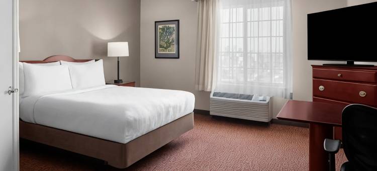 云杉登陆长住套房酒店希尔斯伯勒(Larkspur Landing Extended Stay Suites Hillsboro)图片