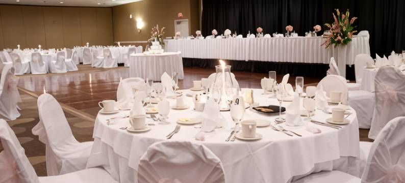 圣路易斯西港逸林酒店(DoubleTree by Hilton Hotel St. Louis - Westport)图片