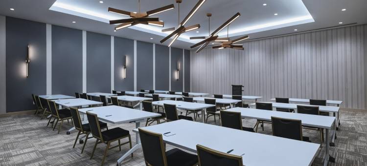 达拉斯拉斯科琳娜源宿酒店(Element Dallas Las Colinas)图片