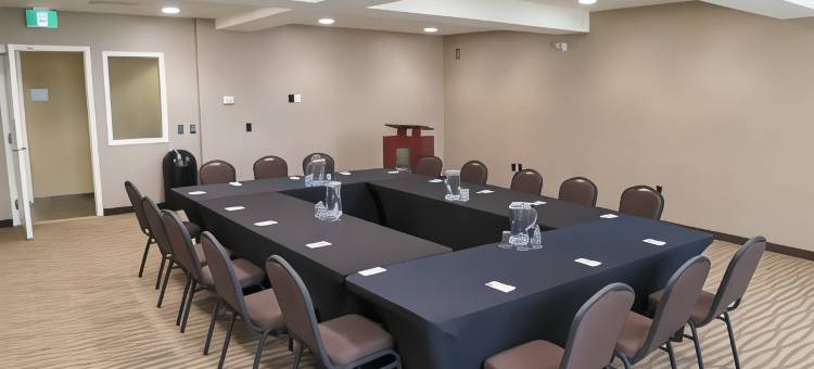 里贾纳舒适套房酒店(Comfort Suites Regina)图片