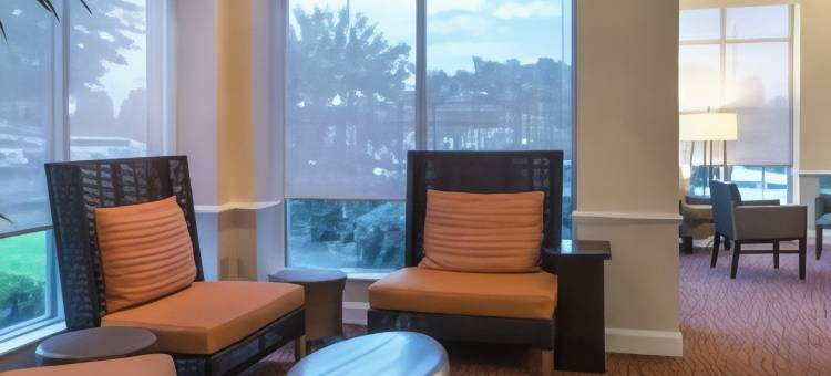 美世大学希尔顿花园酒店(Hilton Garden Inn Macon / Mercer University)图片