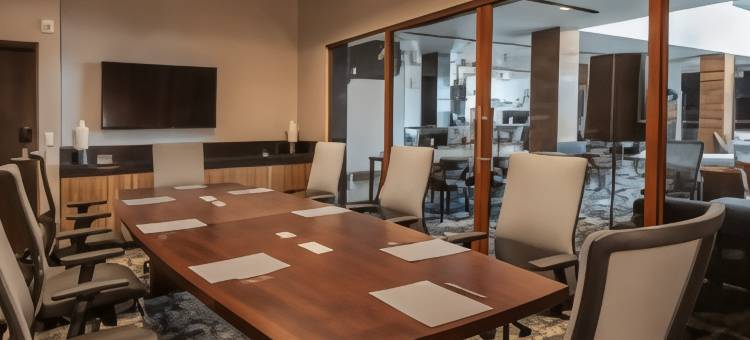 圣路易波托西洛斯拉戈斯万怡酒店(Courtyard San Luis Potosi, Los Lagos)图片