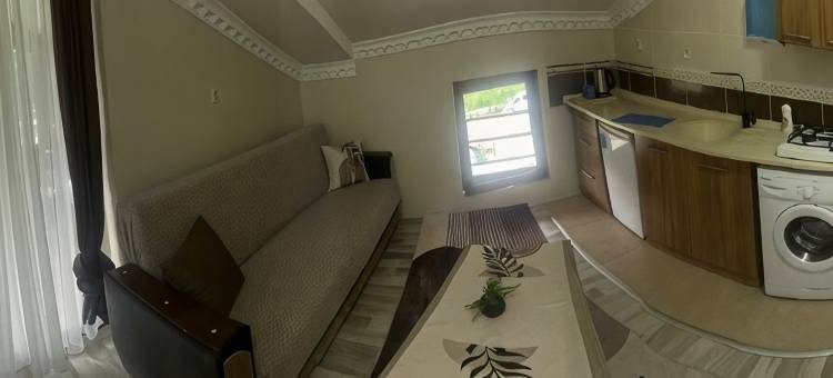 乌曾戈尔奥兹图尔克酒店(Uzungöl Ozturk Hotel)图片