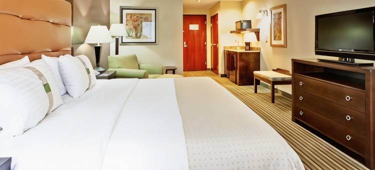 Holiday Inn 信任标记园珠(Holiday Inn Pearl - Jackson Area)图片