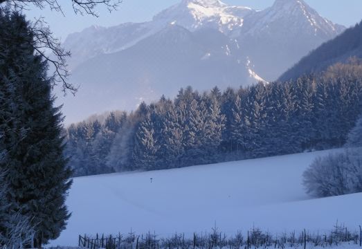 St?cklhof Hotel Overview