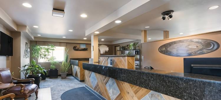 比达喀尔贝斯特韦斯特酒店(Best Western Bidarka Inn)图片