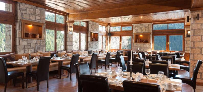 恰兹嘎奇庄园酒店(The Chatzigaki Manor)图片