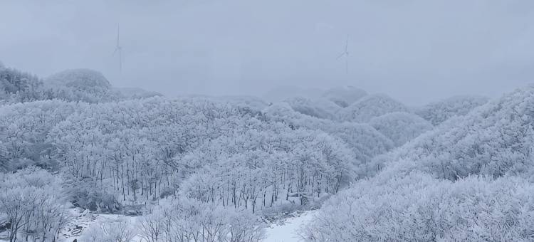 保康山坐山酒店(襄阳保康一中店)图片