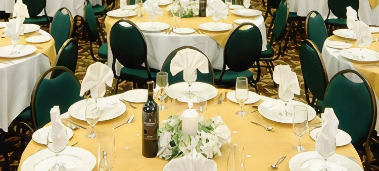 渥太华加蒂诺贝斯特韦斯特优质酒店(Best Western Plus Gatineau-Ottawa Downtown)图片