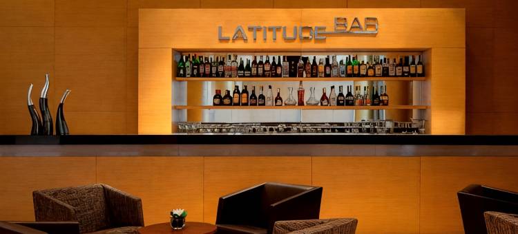 开罗机场艾美酒店(Le Meridien Cairo Airport)图片