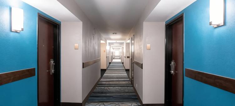 舒适套房酒店-近医疗中心(Comfort Inn & Suites Near Medical Center)图片