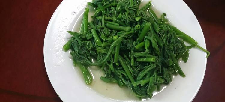 莫干山清林·闲庭山庄图片