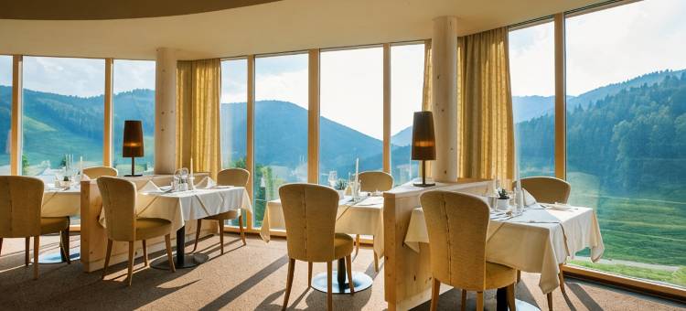 皮尔康体酒店(Almwellness Hotel Pierer)图片