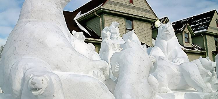 布尔什瑞昂/弗兰肯默斯温德姆Americinn酒店(Americinn by Wyndham Birch Run/Frankenmuth)图片