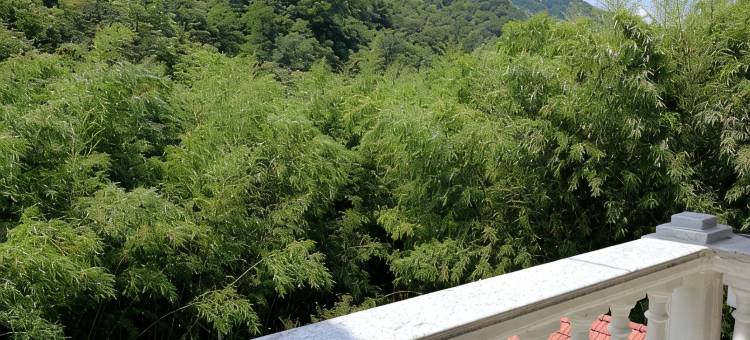 老君山美庐山庄(云景索道店)图片