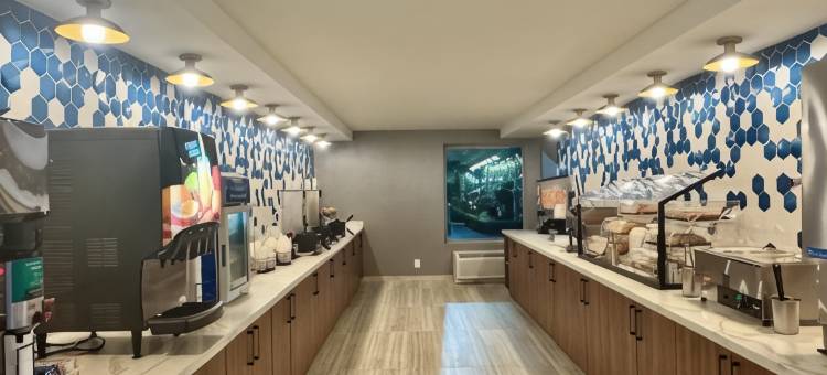 奥兰多国际大道北拉昆塔温德姆酒店(La Quinta Inn by Wyndham Orlando International Drive North)图片