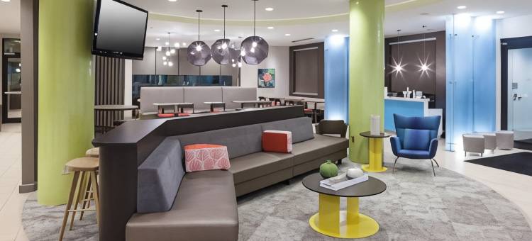 奥兰多海洋世界SpringHill Suites酒店(SpringHill Suites Orlando at SeaWorld)图片