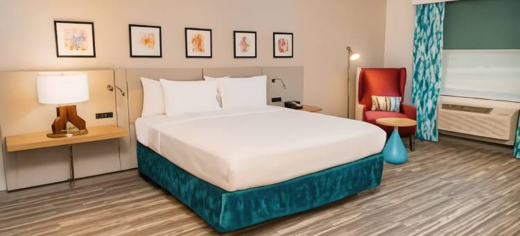 奥斯汀雪松公园希尔顿花园酒店(Hilton Garden Inn  Cedar Park Austin)图片