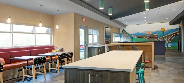 诺克斯维尔西特基克里克希尔顿特鲁酒店(Tru by Hilton Knoxville West Turkey Creek)图片