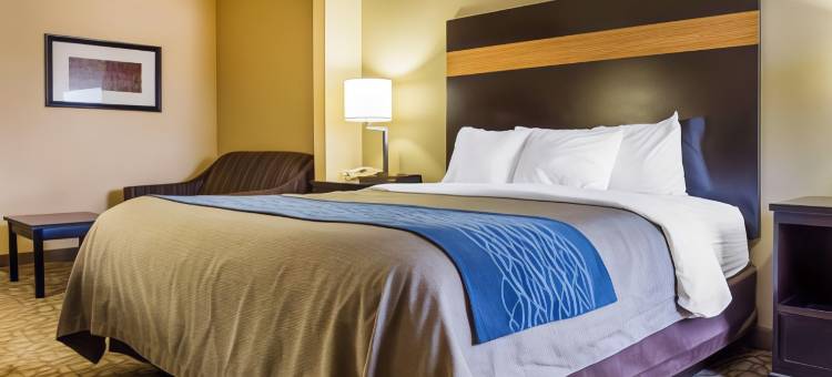 斯通山舒适套房酒店(Comfort Inn & Suites at Stone Mountain)图片